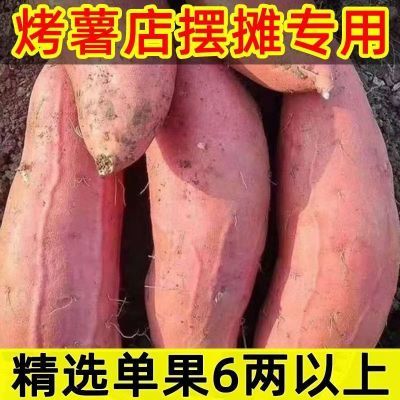山东烟薯25红薯蜜薯地瓜批发2025新鲜烤红薯烤薯摆摊专用大果烤块