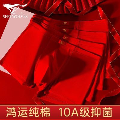 ���ڲ�������ƥ�Ǳ�������ʿ�ڿ��ɫ2026����̿��п��ƽ���Ľǽ������ 59.9Ԫ