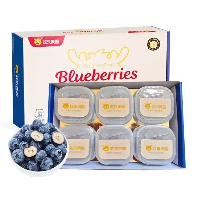 ���ڲ����������ֹ�԰�����ϻ�����ݮ����15mm��100g*6������600g�������װ 58.8Ԫ