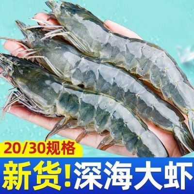 ���ڲ�����������Ʒ���ʴ�Ϻ�䶳�ش��ΧϺ��Ϻ��Ϻ�ƺ���Ϻһ���亣������ 60.99Ԫ