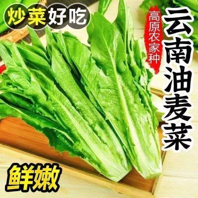 ���ڲ�����������������ʵ����߲���˷�β��ũ�����ֲ�����Ӧ��һ������� 9.8Ԫ