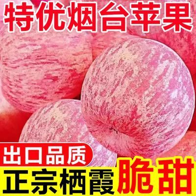 【彩箱礼盒】特优烟台苹果脆甜山东富士苹果新鲜苹果水果整箱批发