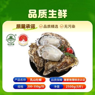 ���ڲ������ʳ�������ɽ����ʻ��ش�ĵ�����ʴ��Ǻ�����5��װ�տ��������� 40.8Ԫ