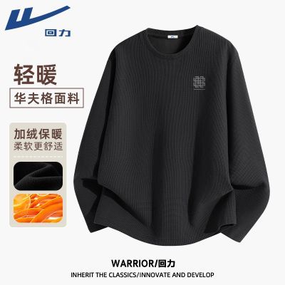 ���ڲ���������������t���������޼���������ڴ��п��Լ���ɺ�ʵ������� 39.9Ԫ