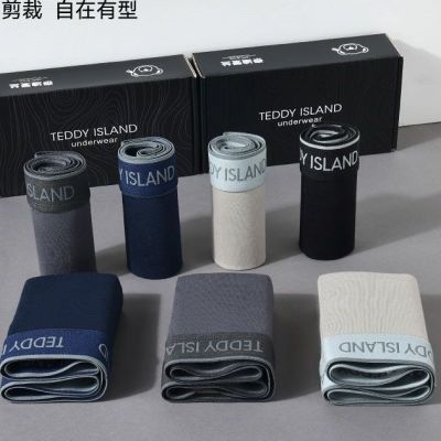 纯棉内裤大人CTKB青少年内裤男士内裤纯棉透气抗菌运动爆款男裤