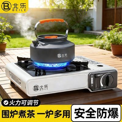 ���ڲ�������ʽ¯����ȼ��¯��Я���¯�ߴ�����˹¯��˹����¯��ȼ����¶Ӫ 64.32Ԫ