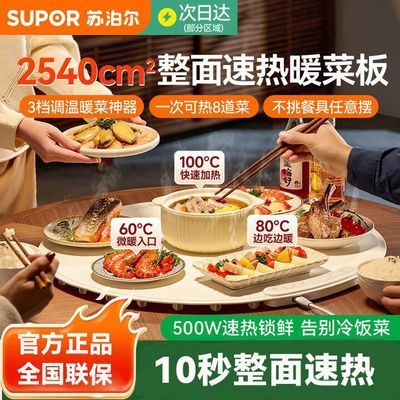 ���ڲ������ղ����۵�ů�˰巹�˱��¼�������ⶳ����60CMԲ������ů�˰� 319Ԫ