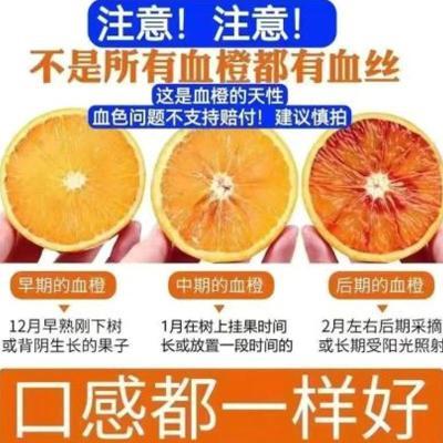 薄皮血橙塔罗科血橙新鲜水果甜橙子脐橙冰糖橙孕妇水果