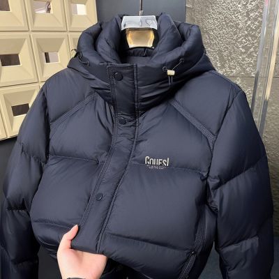 ���ڲ�����2025�����¿���Ʒ���޷���ʿ���иߵ������걣ů90%Ѽ���п����� 781Ԫ