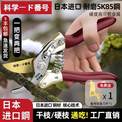 原装日本进口sk5粗枝剪树枝剪绿植强力园艺剪刀修剪树枝果树园林