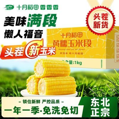 ʮ�µ��� ��Ŵ���׶� ����������Ŵ��˿��� ��ŴƮ�� 12.9Ԫ�����ڲ����ӱ�����