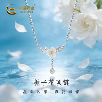 ���ڲ��������й��ƽ�S999�������ӻ�����С��������˽���Ů�Ѵ���������� 123Ԫ