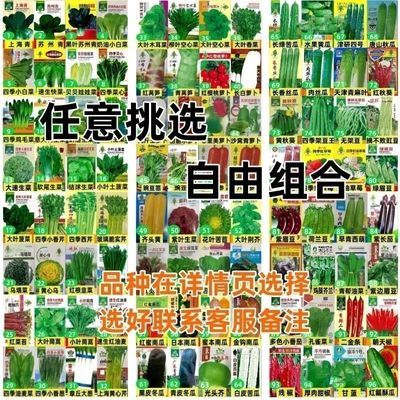 厂商价百种蔬菜种子四季蔬菜类瓜果类庭院盆栽中华懒人花园散装