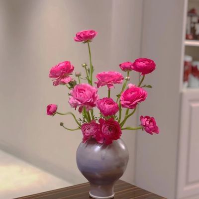 洋牡丹新鲜重瓣鲜花小清新斗南花市批发小香风好客厅直发懒人