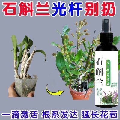 石斛兰专用营养液生根促发芽防枯萎催花保花家庭园艺液体肥料