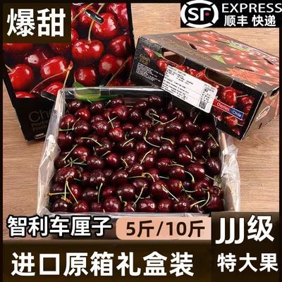 【新鲜现货】智利进口车厘子5斤整箱原箱礼盒大樱桃当季孕妇水果
