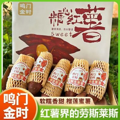 【礼盒装】正宗鸣门金时金黄蜜薯香甜沙地现挖新鲜地瓜网红板栗薯