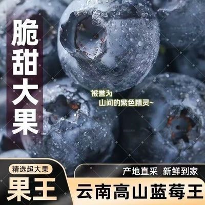 云南【现摘蓝莓】当季水果云南花香蓝莓大果鲜果孕妇宝宝带盒新鲜