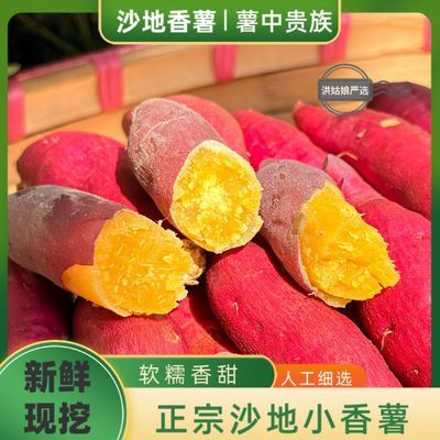 洪姑娘正宗天目山小香薯黄心板栗红薯新鲜地瓜粗粮番薯香甜糯山芋