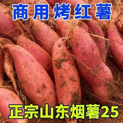 蜜薯正宗批发山东烟薯25番薯糖心沙地红薯商用新鲜现挖流油地瓜