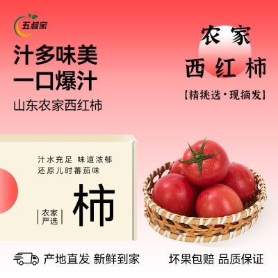 ���ڲ����������䡿ɽ��ɳȿ������3/5�� ����͸�ĺ췬��������ժ������ 11.9Ԫ