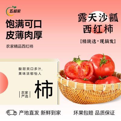 ���ڲ�����������װ��ɽ�����Ѵ��������3/5������ɳȿ��֭����Ӧ��ˮ�� 12.9Ԫ