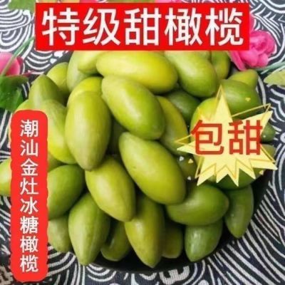 金灶甜种冰糖特产橄榄新鲜青果甜鲜潮汕泡酒煲汤水果生吃无渣正宗
