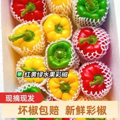 红黄绿彩椒寿光山东五彩圆椒辣椒灯笼椒不辣水果甜椒蔬菜黄彩椒
