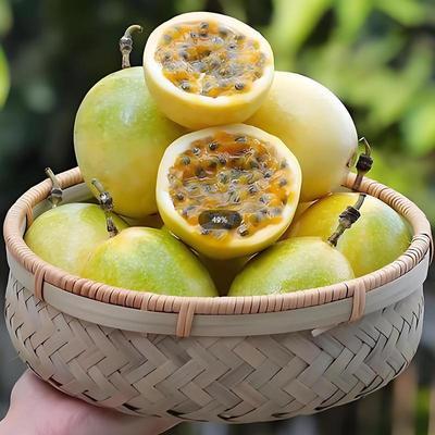 【正宗】黄金百香果钦密9号新鲜水果热带黄金果甜果原浆产地直发