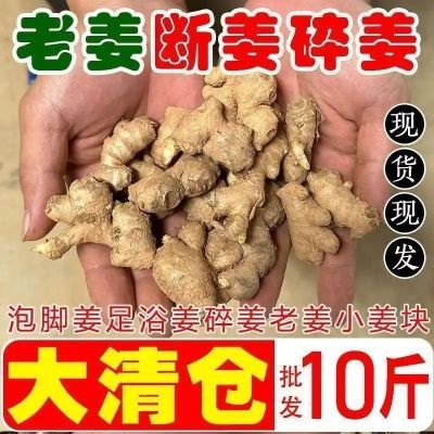 农家自种云南老姜姜小姜断碎姜泡脚专用整箱批发生姜泡脚专用
