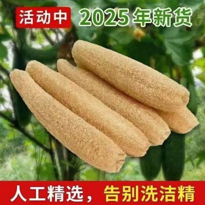 瓜瓤纯天然丝瓜络天然洗碗刷锅沾油神器百洁布厨房家用抹布不伤锅