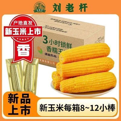 25年新玉米东北苞米香甜黏玉米新鲜低脂代餐早餐非转基因真空包装