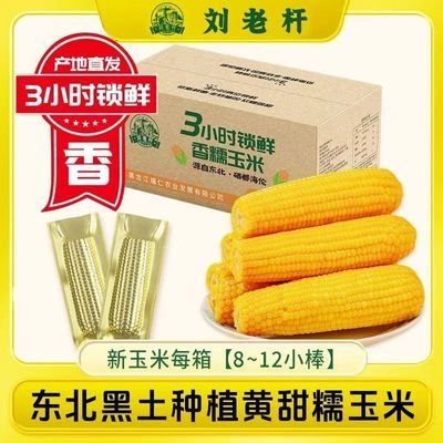 【新鲜玉米】刘老杆东北黄玉米软糯香甜苞米真空包装低脂早餐箱装