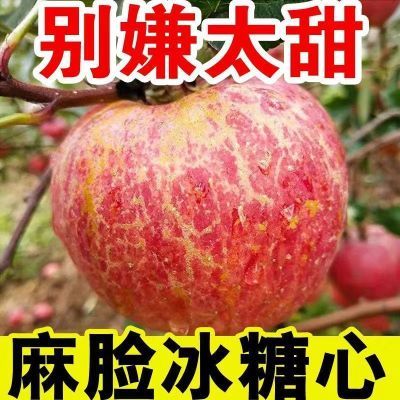今年现摘】正宗丑苹果冰糖心爆甜多汁当季新鲜甜心水果整箱直发