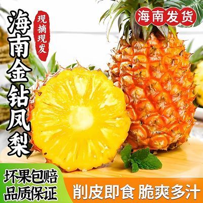 海南金钻凤梨应季手撕无眼凤梨新鲜水果脆甜多汁