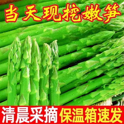 农场直发鲜嫩河南芦笋新鲜蔬菜龙须菜青笋整箱春笋头茬绿芦笋榨汁