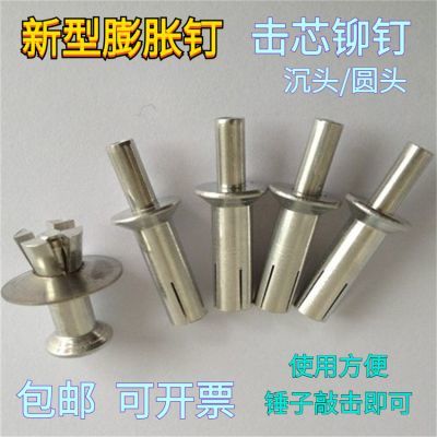 新型全铝敲击击芯铆钉 膨胀钉敲击铆钉99N扁圆头沉头膨胀钉击芯优惠商品图片