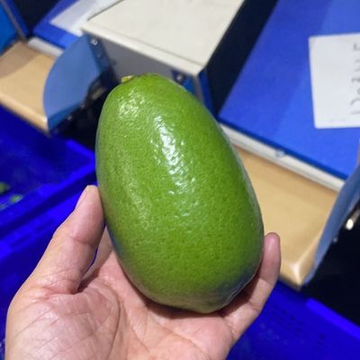 海南无籽香水柠檬鲜果整箱正宗青柠檬奶茶店手打柠檬茶专用优惠商品图片