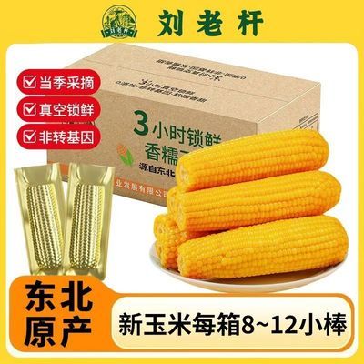 刘老杆东北玉米苞米香甜黏玉米新鲜低脂代餐早餐非转基因真空包装