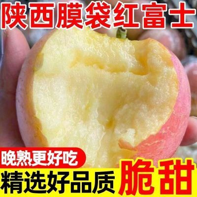 【膜袋】陕西头茬冰糖心红富士苹果丑苹果当季新鲜水果脆甜整箱