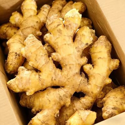 云南小黄姜新鲜生姜新鲜现挖自种农家嫩姜辛辣整箱新鲜蔬菜新货