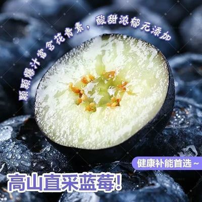 【现摘花香蓝莓】云南蓝莓大果当季水果蓝莓新鲜孕妇宝宝带盒