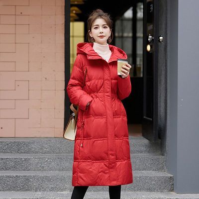 ���ڲ�����YPUT���޷�Ů���������ñ�콢���ﶬ����YHG411311G 198Ԫ