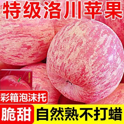 【彩箱泡沫托】特级陕西洛川苹果脆甜富士新鲜苹果水果批发一整箱