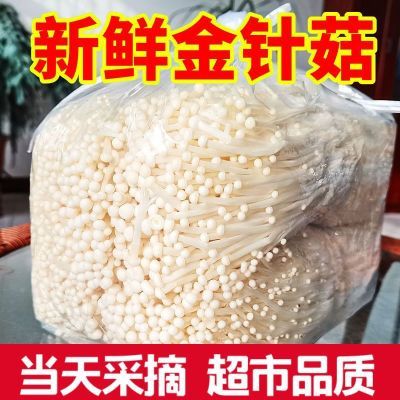 精品A级金针菇基地直发大包装新鲜一整箱火锅食材优惠商品图片