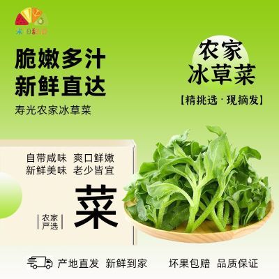 ���ڲ�������˳����䡿ɽ���ٹ���ݲ������߲˴��ۼ�ʳɳ���˻��ʳ������ 11.6Ԫ