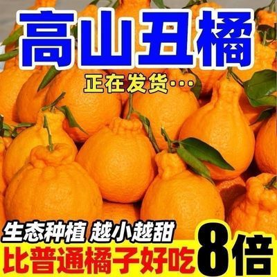 真四川丑橘不知火丑柑丑橘新鲜应季水果现摘整箱包邮