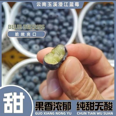 欢乐全家桶装 云南澄江抚仙湖25品种花香蓝莓真实家庭农场种植
