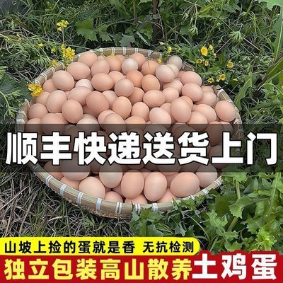 新鲜鸡蛋正宗土鸡蛋农家散养土鸡蛋虫草鸡蛋柴鸡蛋批发一整箱顺丰