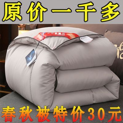 100%桐乡蚕丝被桑蚕丝空调夏凉被春秋被子加厚单人双人保暖棉被芯